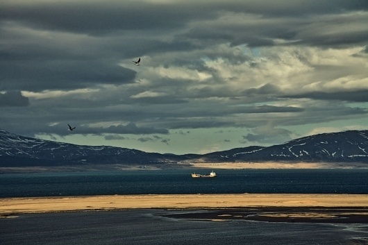 Kalle Gustafsson #kalle #gustafsson #photography