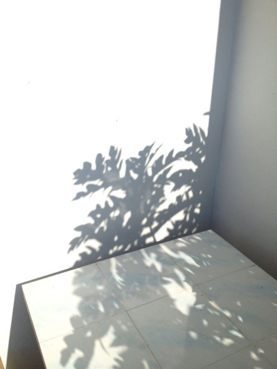 white shadows