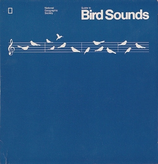 Guide to Bird Sounds | Flickr - Photo Sharing! #geographic #design #graphic #bird #sounds #birds #music #society #national