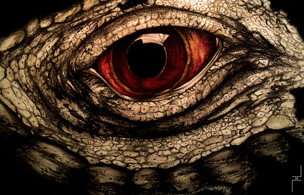 Author: Paula Duță #eye #illustration #eyelid #reptile #painting #dinosaur #lizard