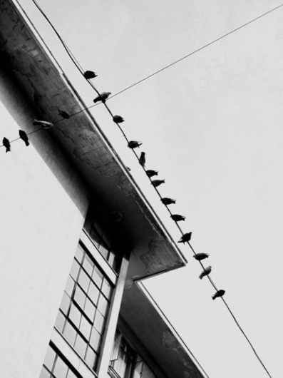 hellopanos blog #photography