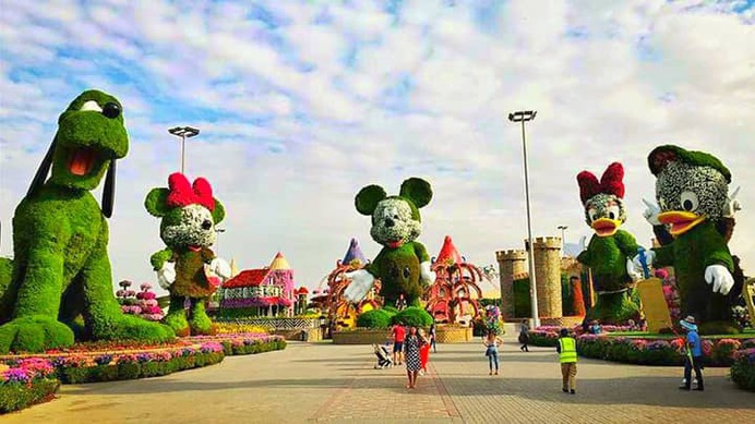 Disney Avenue became part of the Dubai Miracle Garden in its Season 7. It continued to remain part of the garden in its Season 8 but at a different location of the garden.