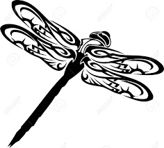 Image result for dragonfly vector