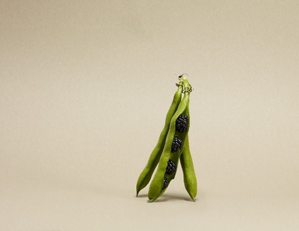 Still Life Photography by Rene Mesman #inspiration #still #photography #life