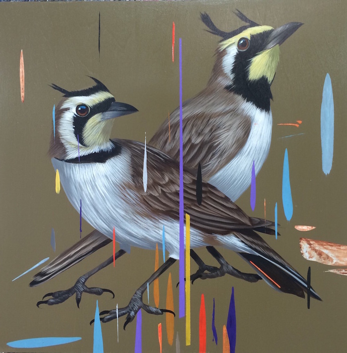 "Double Horned Larks" (2016), acrylic on panel, 12″ x 12″ by Frank Gonzales #birds #rain #paint