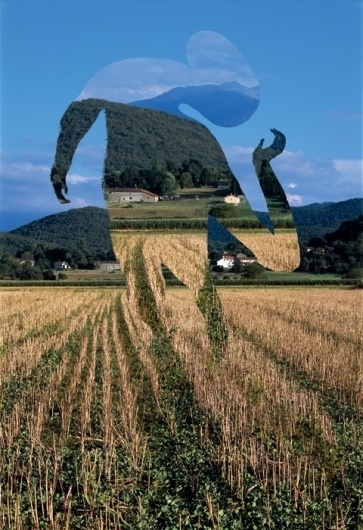 - pronomade(s) : HELMO #photo #collage
