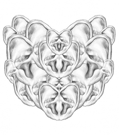 Paola Saliby #heart #listen #sears #hear #drawing
