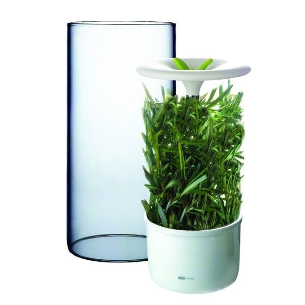 Keep your herbs fresher for longer with this antibacterial preserver. #modern #design #product #industrial #technology