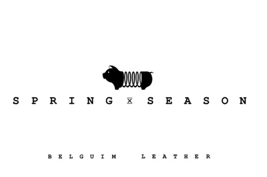 Spring Season Branding on the Behance Network #spring #branding #black #pig #logo #animal