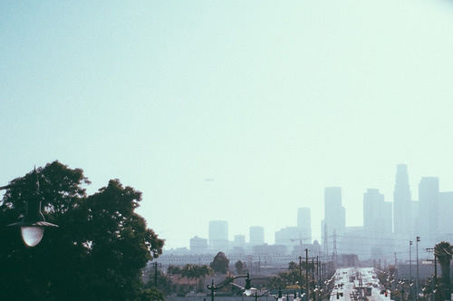 The Sheltered Half #35mm #los #angeles #la #film #blues