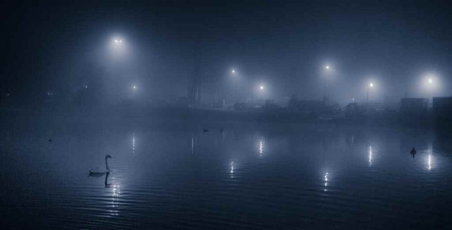 Photography by Marius Vieth #inspiration #photography #art #fine