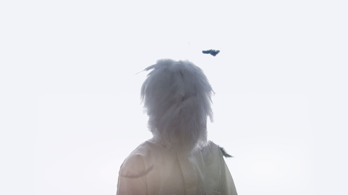 #videoart #jacobardenmcclure #white #feather