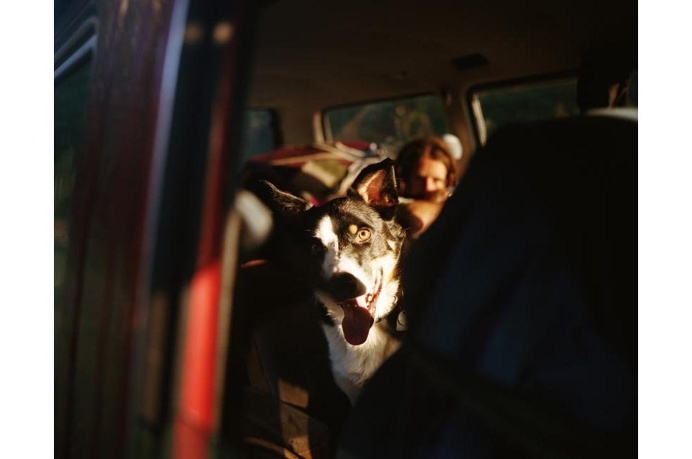 http://www.polerstuff.com/collections/adventures/products/adventure-24a