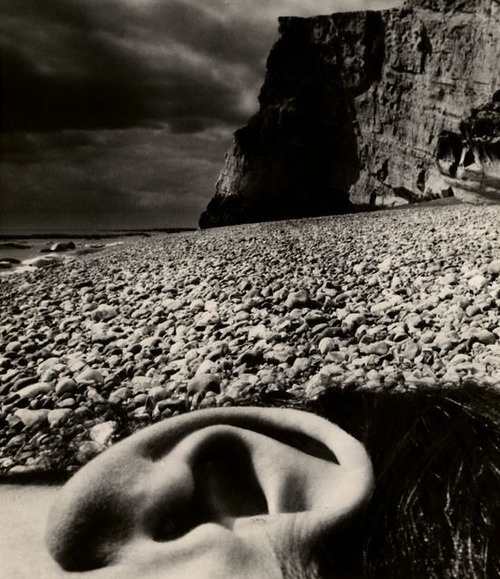 Nude, Seaford, East Sussex Coast, 1957. Bill Brandt. http://off-the-wall-b.tumblr.com/ #white #brandt #uk #bill #black #pebbles #and #beach