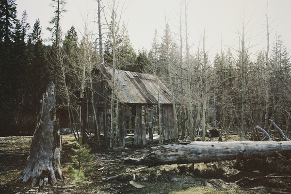 B L O O D A N D C H A M P A G N E . C O M: #cabin #woods