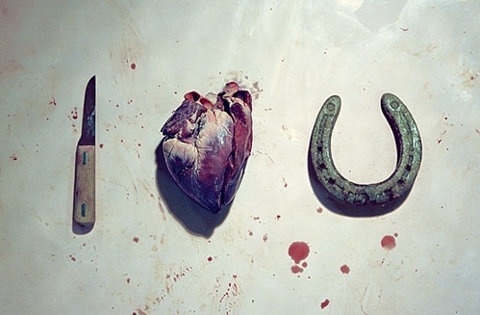 FFFFOUND! | We are the Romans #u #i #love