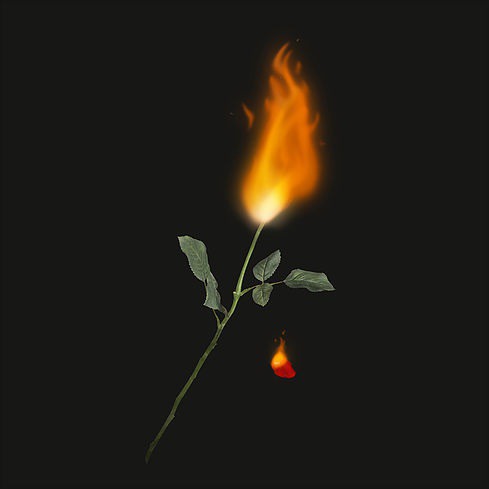 Illustration for t-shirt #tshirt #layout #illustration #rose #fire #dark #sad #emo