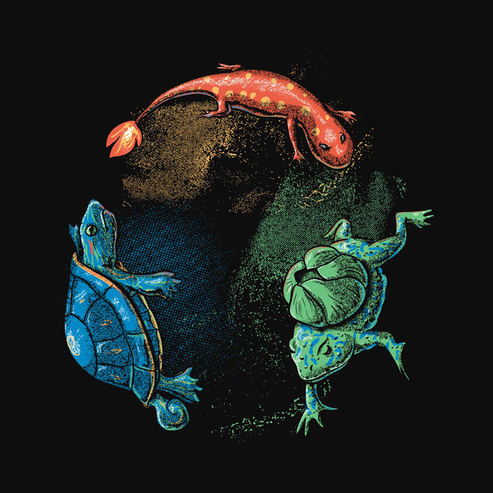 Starters Shirt Pokemon Realistic Animals Tee – Wear Viral #amphibian #pokemon #newt #illustration #painting #turtle #animal #frog