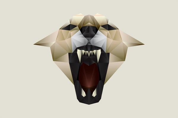 Nacho Gil #polygon #animal #cougar
