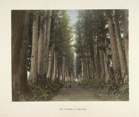 All sizes | View of Imaichi, at Nikko Road | Flickr - Photo Sharing! #trees #forest #japan