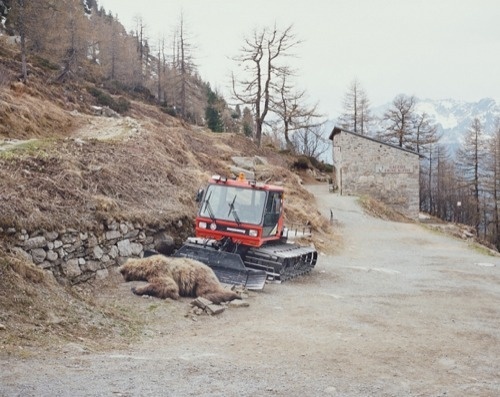 Dany Peschl « PICDIT #photo #photography