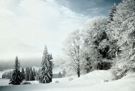 Winterlandschaft » pulswerk » Fotografie » Vernissage » Supertopic #trees #pulswerk #snow #winter