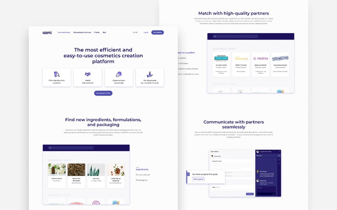 The final design for the How Ozmi Works web page shows products and tools available on the marketplace. 
