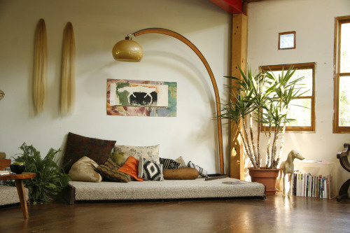 interior, plants, pillow, space