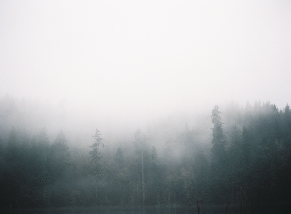 Coffee Brewing in the Great Outdoors KINFOLK #fog #forest #nature #trees