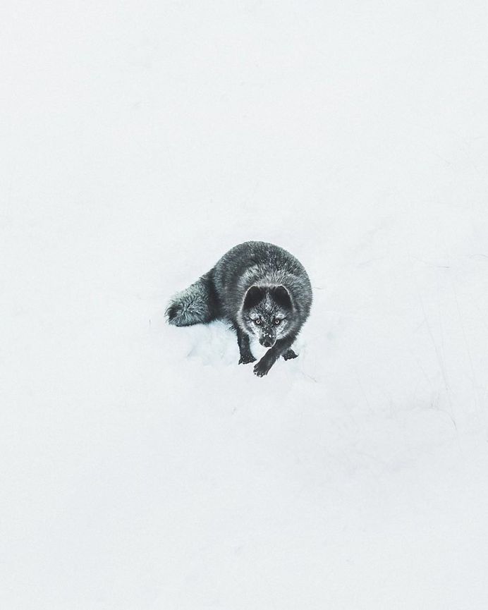 Iceland From Above: Drone Photography by Benjamin Hardman