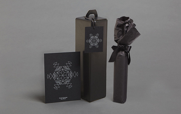 Ideas Factory: Christmas 2012 Mailer/App — Collate #packaging