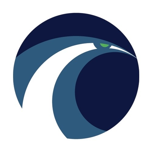 Seattle SeahawksA little explanation:Hawk + Waves in team colors. #matt #logo #sport #mcinerney