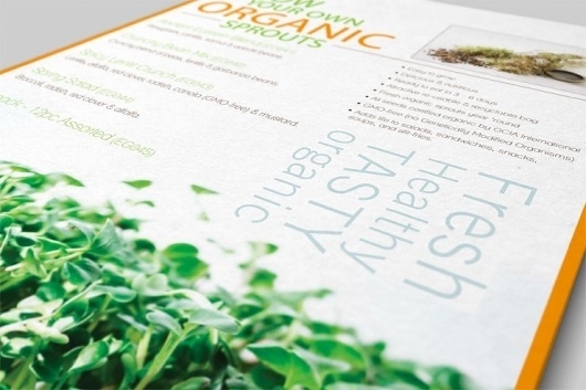 Seracon | WAHBA MEDIA | Graphic Design | Web Development | Branding #catalog #print #eco #green