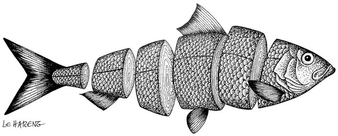 edwin-roberel-paris-1 #fish