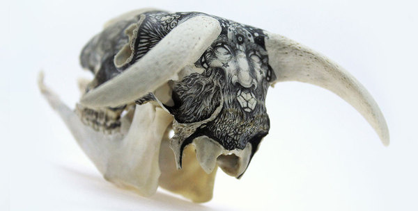 Skulls by DZO Olivier | LLGD.net #illustration #ink #animal #skull