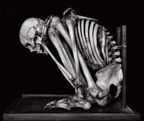 Tumblr #skeleton