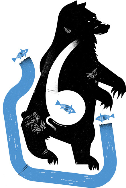 fishy bear #bear #illustration #fish #illy
