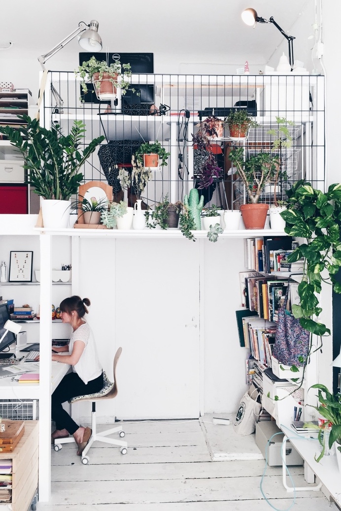 #interior #plants