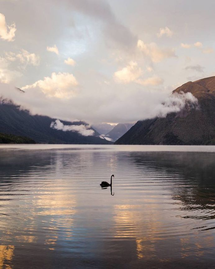 Remarkable Landscapes of New Zealand by Tom Hackett