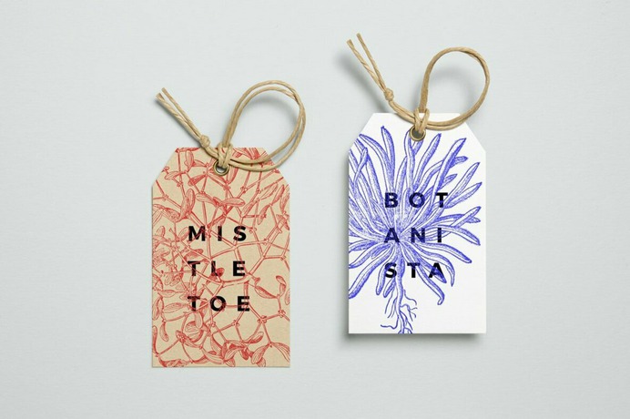 Botanical Illustrations