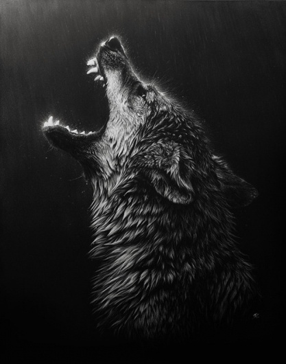 tumblr_l5s8polCim1qao4gno1_500.jpg (500×634) #wolf
