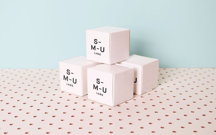 Start-Me-Up Labs start up typography type graphic design business card print modern fair stand presentation school minimal packaging designe