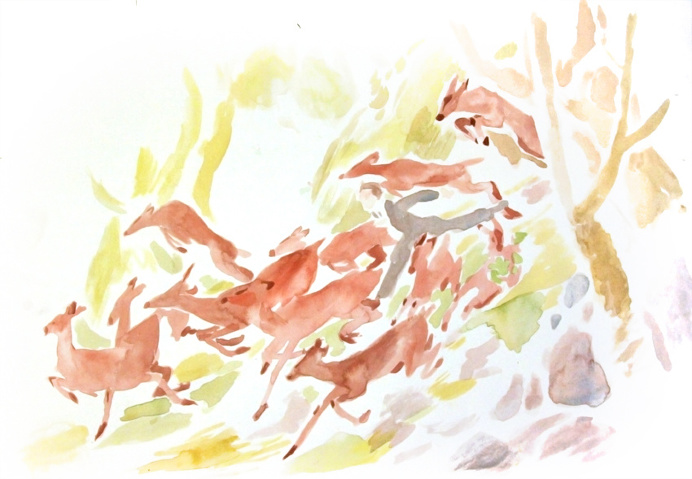 fawn, deer, watercolor