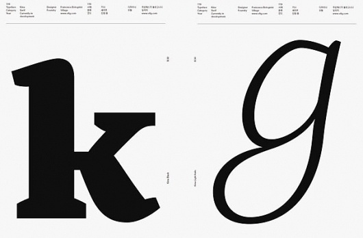 #16 TYPE ARCHIVE ISSUE : GRAPHIC