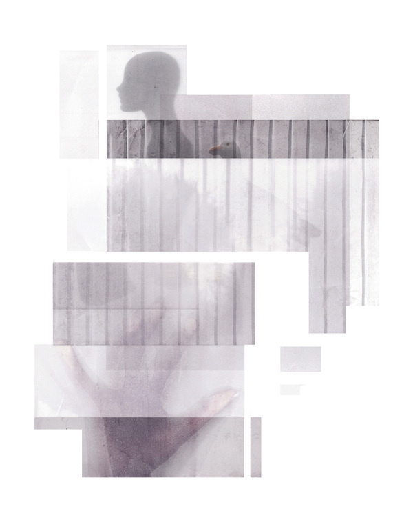 The Bloody Chamber #layers #shadows #objects #cut #tracing #tales #fairy #adult #design #graphic #book #reveal #illustration #outs #artist #paper #secrets