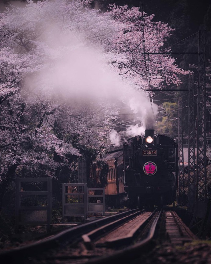 Cinematic Street Photography in Japan by Jude Allen