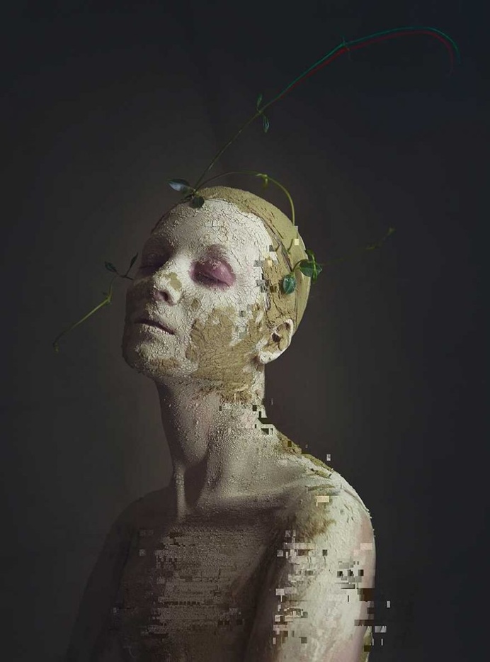 Flower Decay: Fabulous Beauty Photography by Anna Danilova