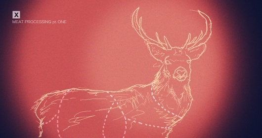 Shrani.si - Brezplačna spletna shramba za vaše slike - fetis1.jpg #infographic #reindeer #moose #illustration