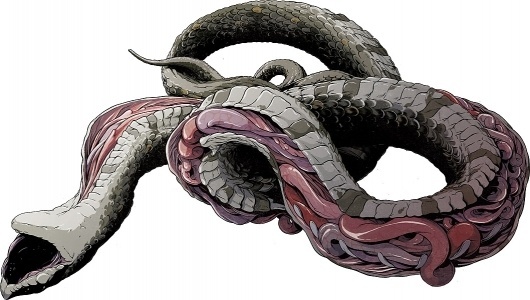 2011 - 2009 : Ghostco #woodson #snake #illustration #ghostco #matthew #dead
