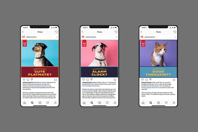 Adobe Pawtraits - Mindsparkle Mag For The People & ilana grace designed this beautiful project named Adobe Pawtraits. #logo #packaging #identity #branding #design #color #photography #graphic #design #gallery #blog #project #mindsparkle #mag #beautiful #portfolio #designer